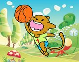 Gato jugando a baloncesto