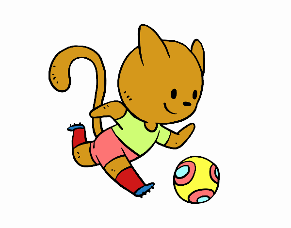 Gato jugando a fútbol