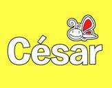 César