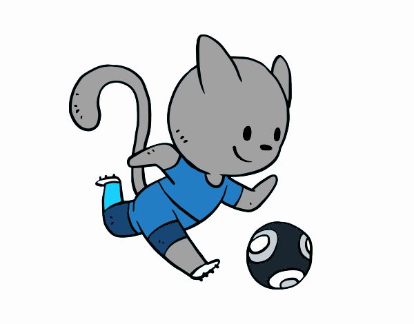 Gato jugando a fútbol