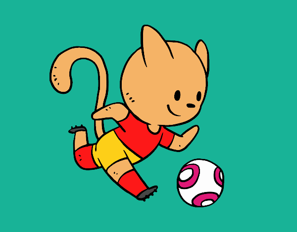 Gato jugando a fútbol