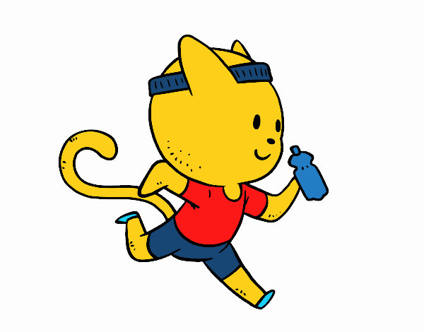 Gato runner