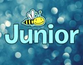 Junior