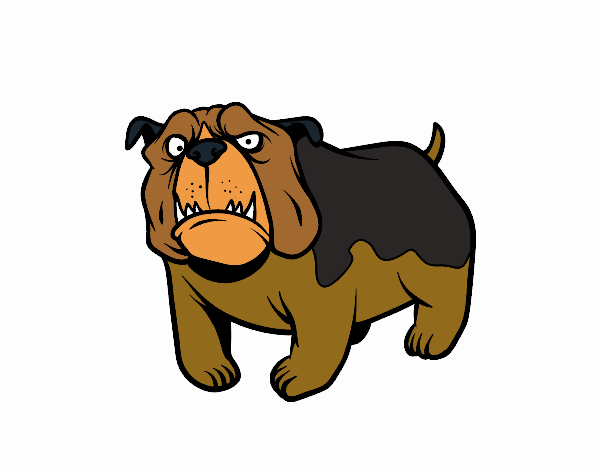 Dibujo de Perro bulldog inglés pintado por en Dibujos.net ...