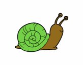 Un caracol