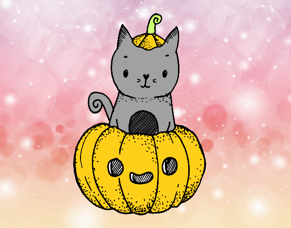 Un gatito de Halloween