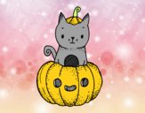 Un gatito de Halloween