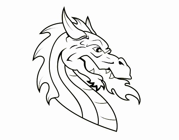  Dibujo de Cabeza de dragón europeo pintado por en Dibujos.net el día