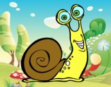 Caracol feliz