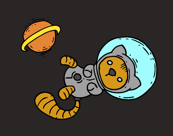 Gatito astronauta
