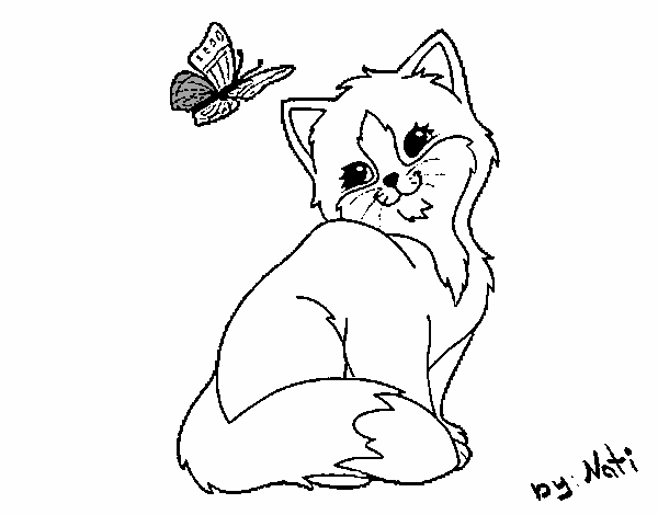 Gatito y mariposa