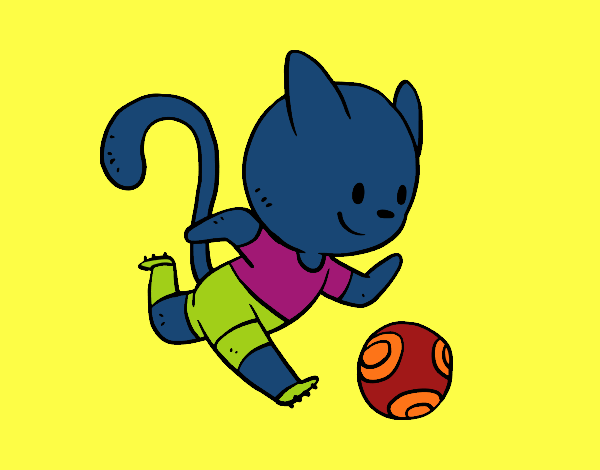 Gato jugando a fútbol