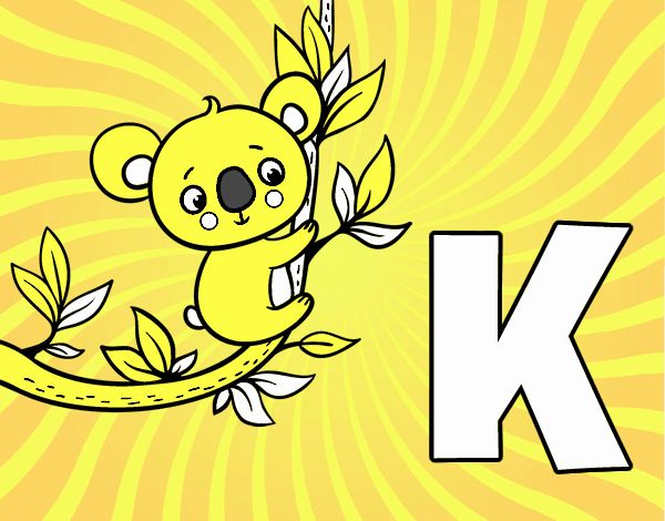 K de Koala