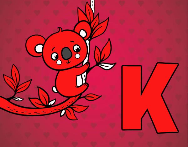 K de Koala