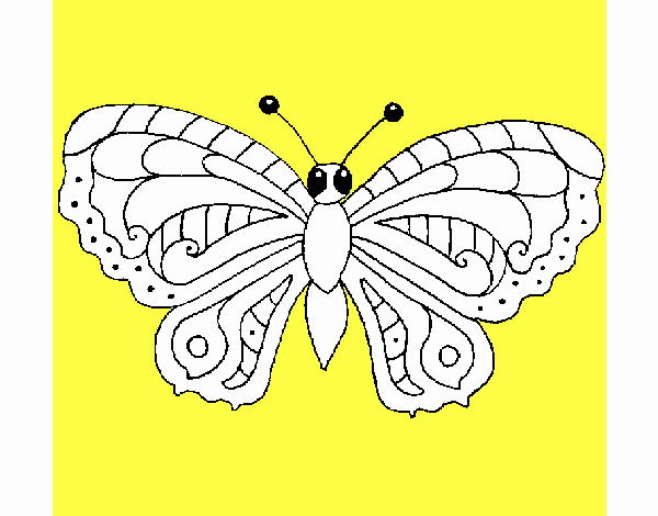 Mariposa 3a