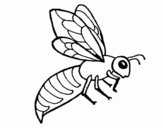 Abeja 2