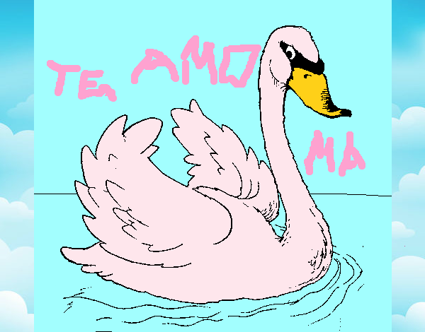 Cisne en el agua