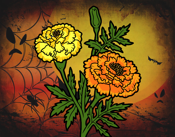 Dibujo de flor de los muertos pintado por en  el día 17-10-19 a  las 23:34:04. Imprime, pinta o colorea tus propios dibujos!