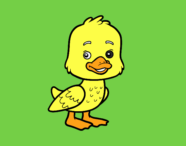 Un patito