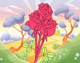 Un ramo de rosas