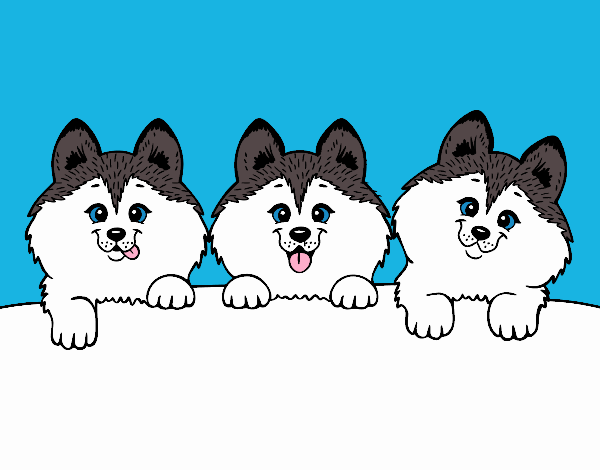 Dibujo de 3 perritos kawaii pintado por en  el día 25-10-19 a  las 22:30:46. Imprime, pinta o colorea tus propios dibujos!