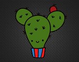 Cactus nopal