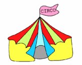 Circo