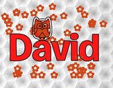 David