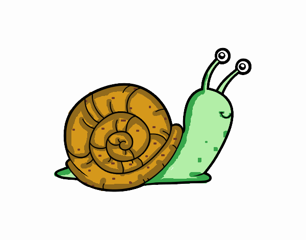 EL CARACOL FELIZ