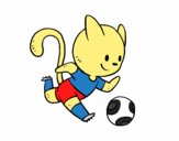 Gato jugando a fútbol