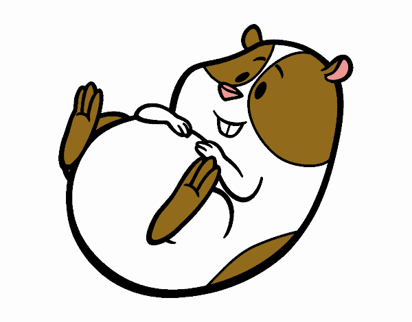 Dibujo de lindo hamster kawaii pintado por en Dibujos.net el día