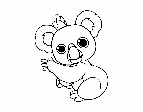 Un Koala