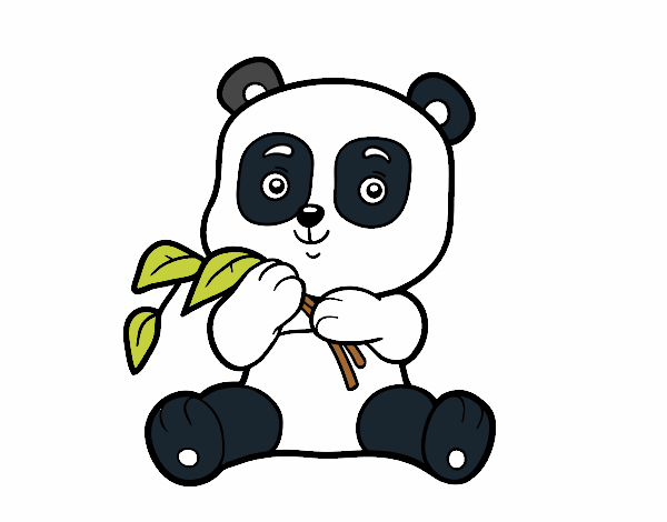 Un oso panda