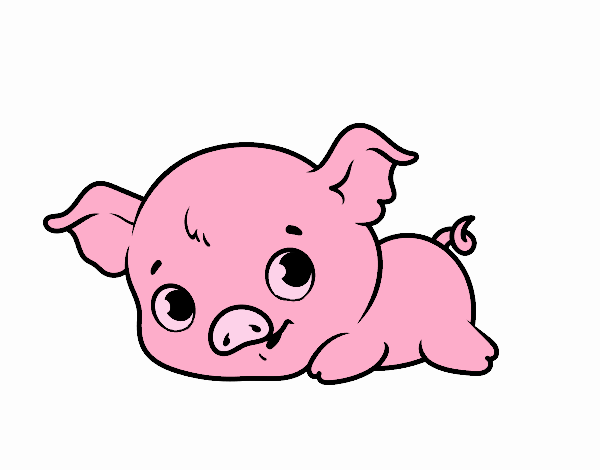 Cerdito bebé