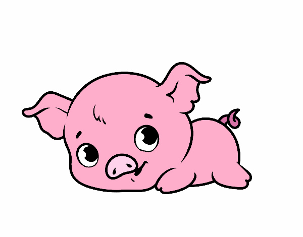 Cerdito bebé