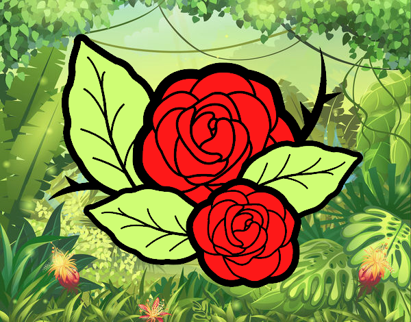 Dos rosas