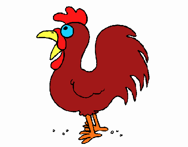 Gallo de granja