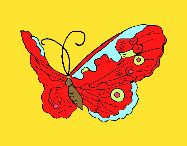 Mariposa elegante