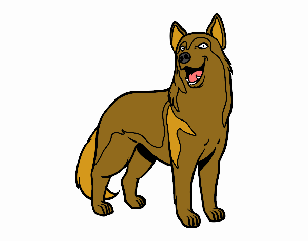 perro lobo de maria luz 2019