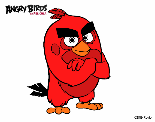 Red de Angry Birds