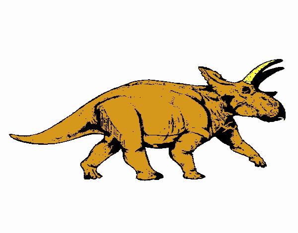 Triceratops 1