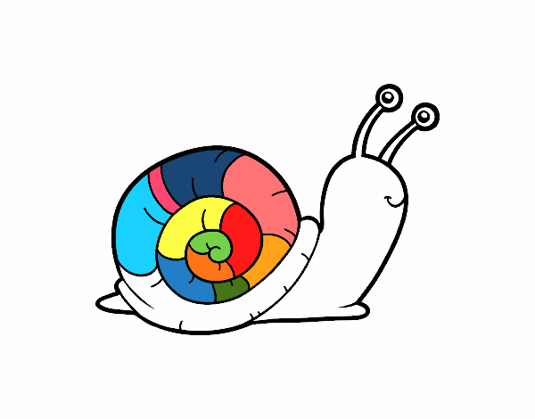 Un caracol