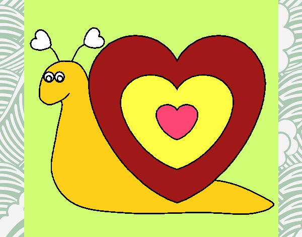 Caracol corazón