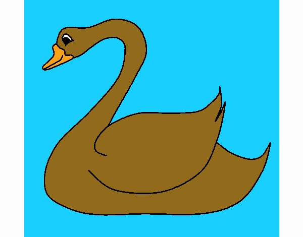 Cisne 1