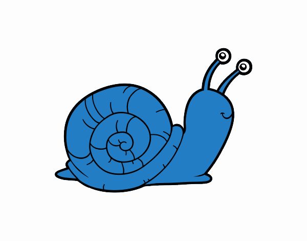 El caracol