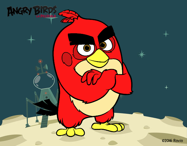 Red de Angry Birds