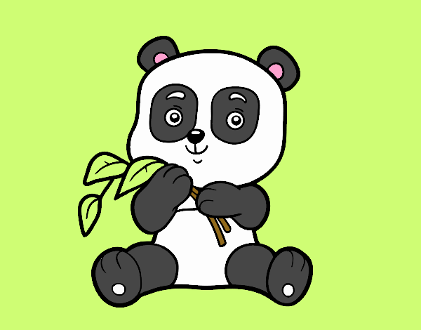 Un oso panda