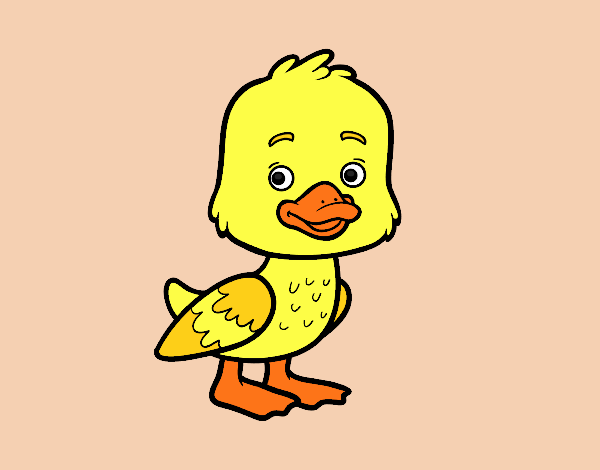 Un patito