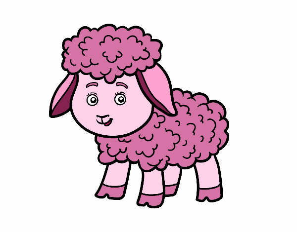 La oveja Rosa