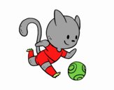 Gato jugando a fútbol